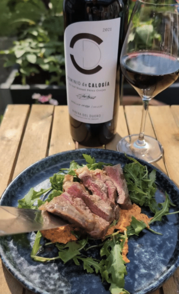 Ribera del Duero as a wine suitable for pairing with food