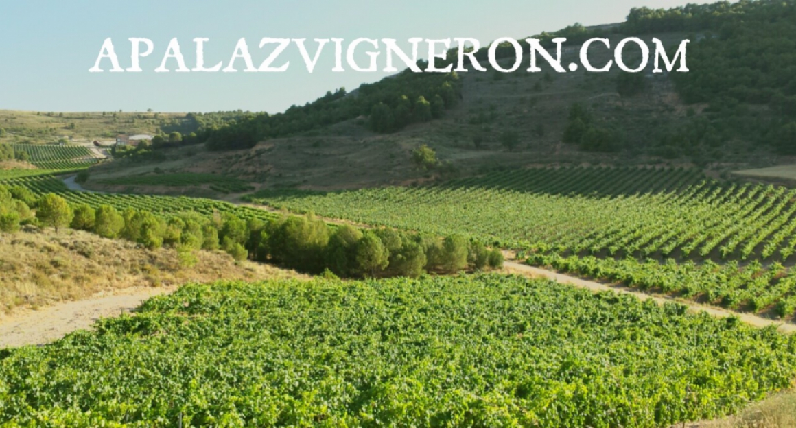 1465161248242.jpg APALAZ