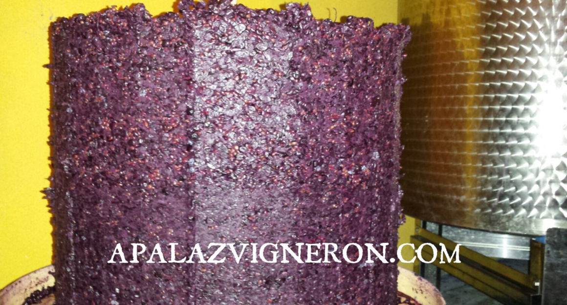 1465235175713.jpg APALAZ