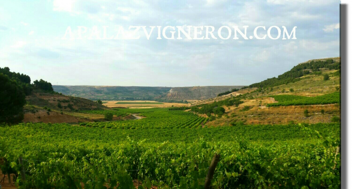 1468423385705.jpg APALAZ