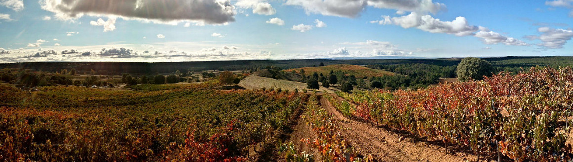 3ad540_bd0d0a3c8f0e4a48ad68e4bc8d62f3a3.jpg EL MOSAICO DE BACO