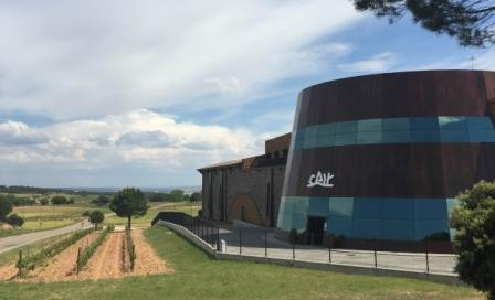 Bodegas DOMINIO DE CAIR