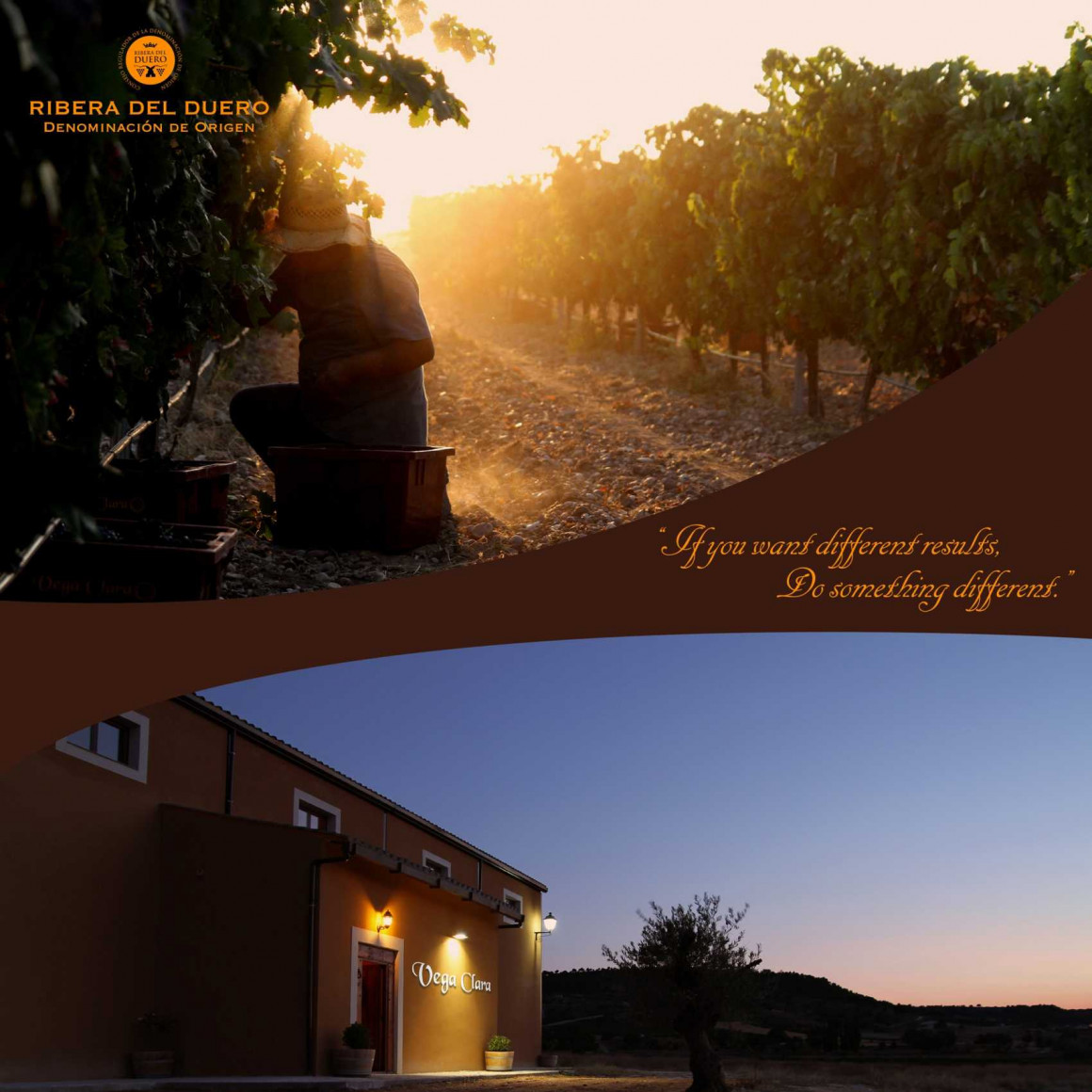 cartel_80x80_pq_ferias_prowein-re_0.jpg Bodegas VEGACLARA