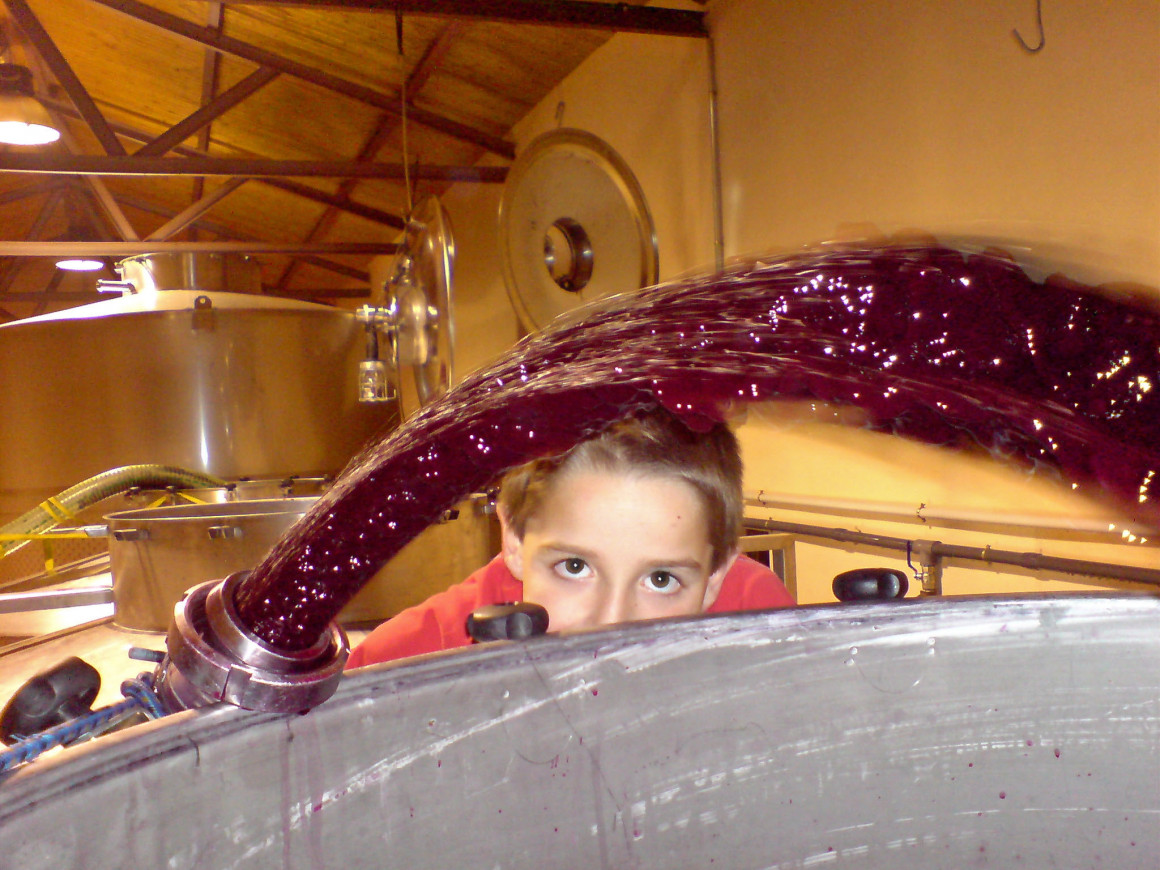 dsc00156_editado.jpg Bodegas DEHESA VALDELAGUNA