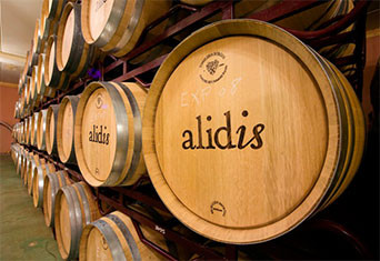 Bodegas VIÑA MAMBRILLA