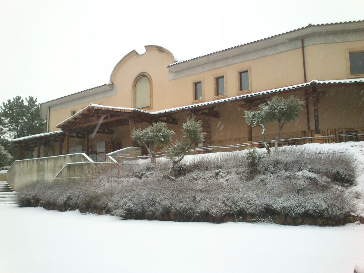 entrada_principal_2.jpg Bodegas UVAGUILERA