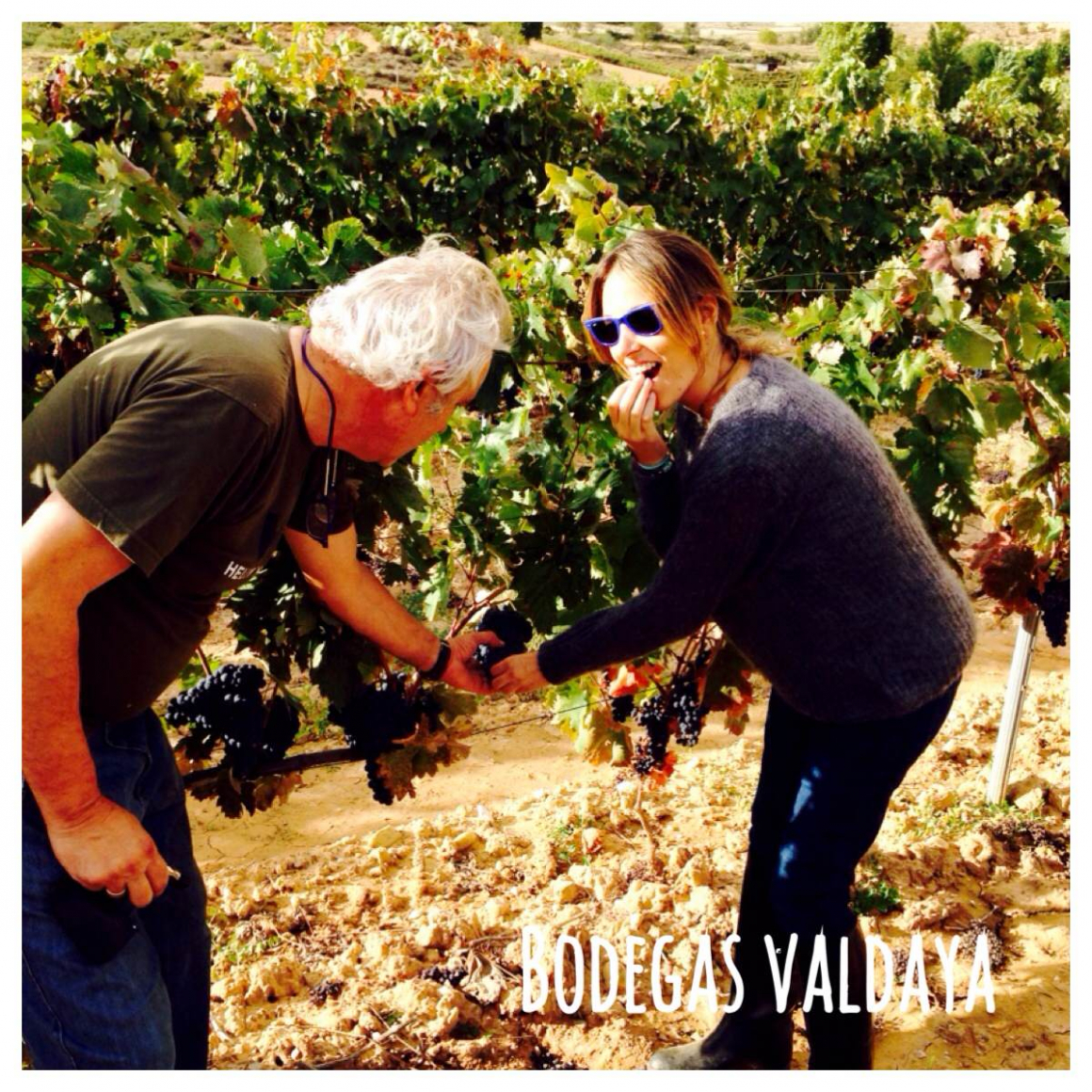 gente_valdaya.jpg BODEGAS VALDAYA