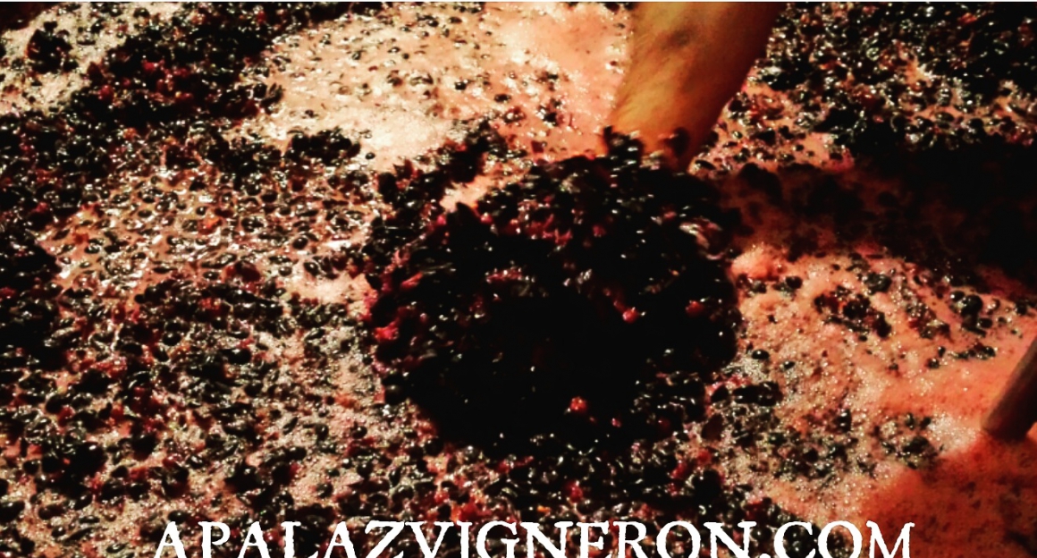 img_20161016_095443.jpg APALAZ