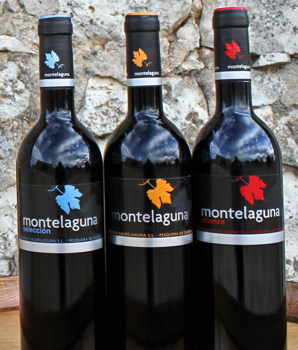 img_3235_editado-copy.jpg Bodegas DEHESA VALDELAGUNA