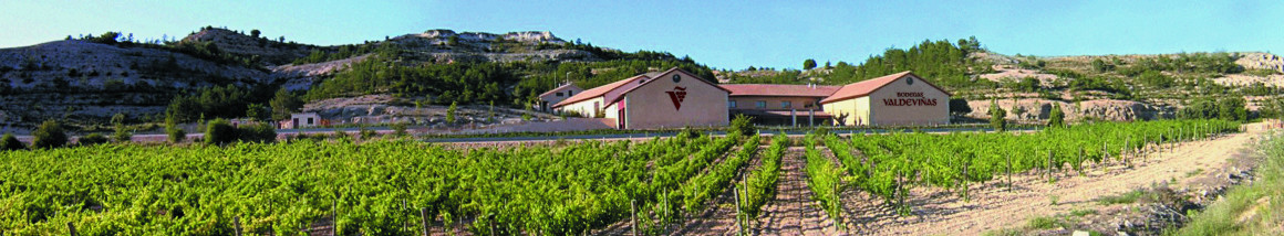panorama_luz_bodega_0.jpg BODEGAS VALDEVIÑAS