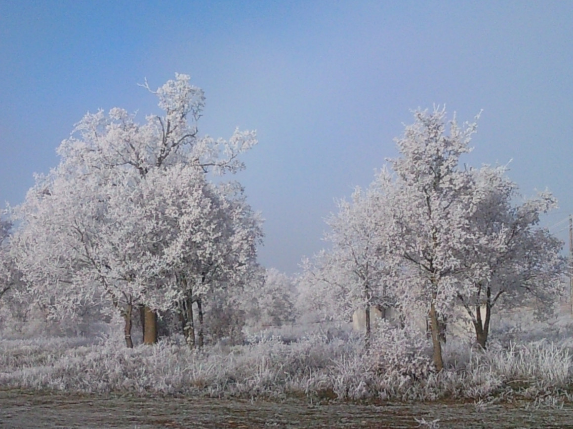 snc00565_editado.jpg Bodegas DEHESA VALDELAGUNA