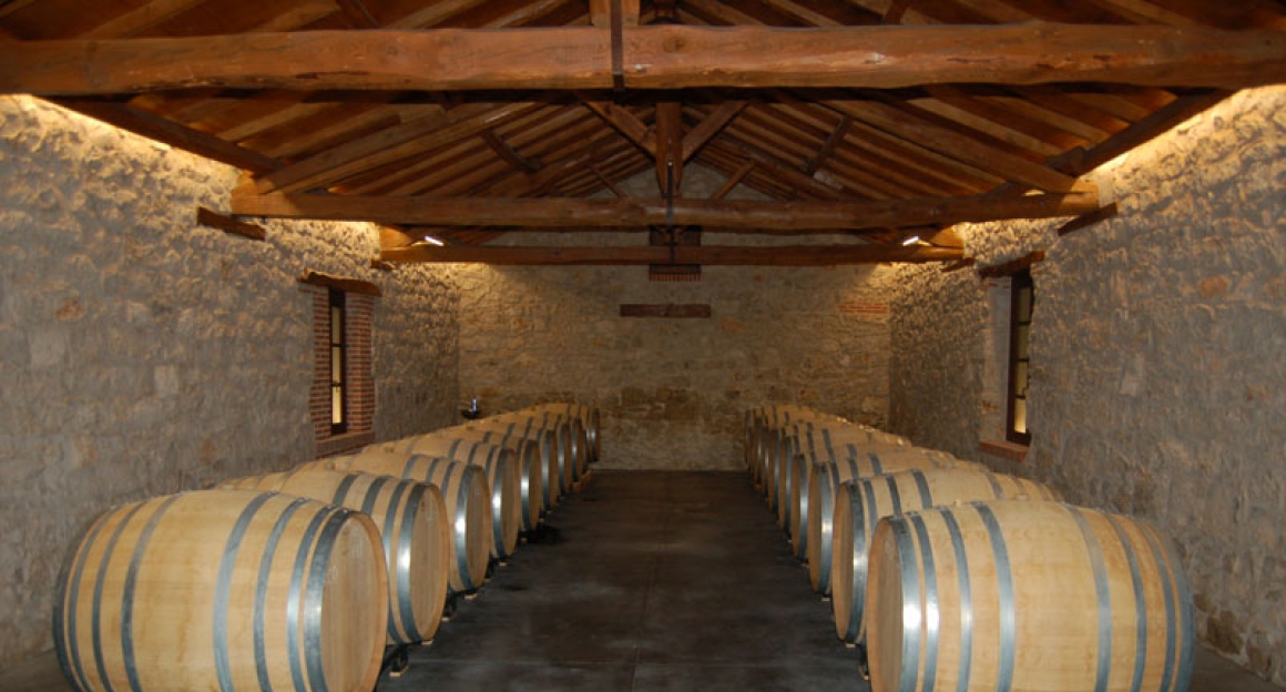 3-elementos-DSC_0050.jpg 3 ELEMENTOS