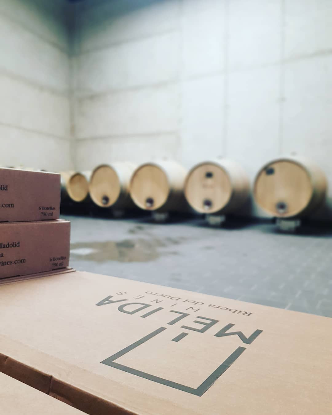 img-20200318-wa0044_1.jpg MELIDA WINES, S.L.