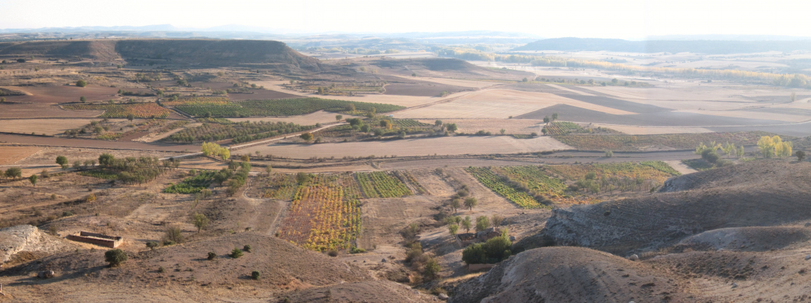 Panora_Viñas_Octubre_0.jpg Panorámica desde las Comarcas - Peñalba de San Esteban