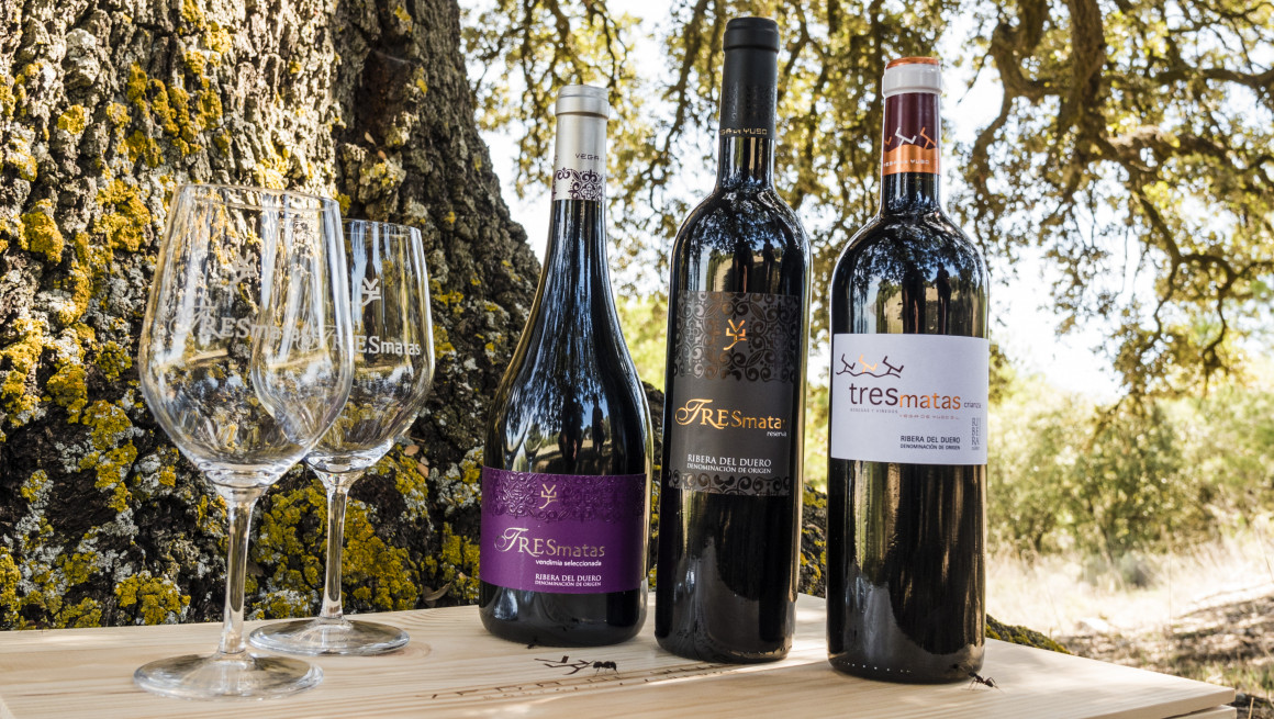 VEGA-DE-YUSO-VINO (6).jpg vinos Vega de Yuso