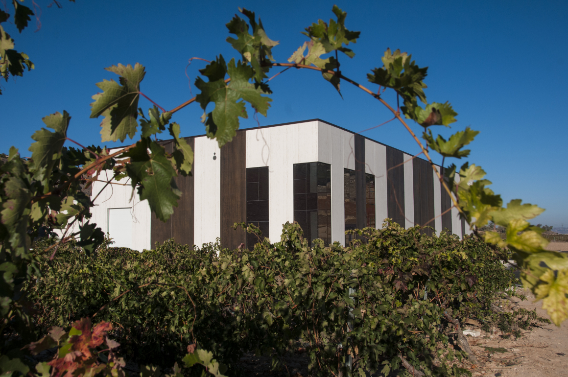 Bodega Convento Oreja desde los viñedos