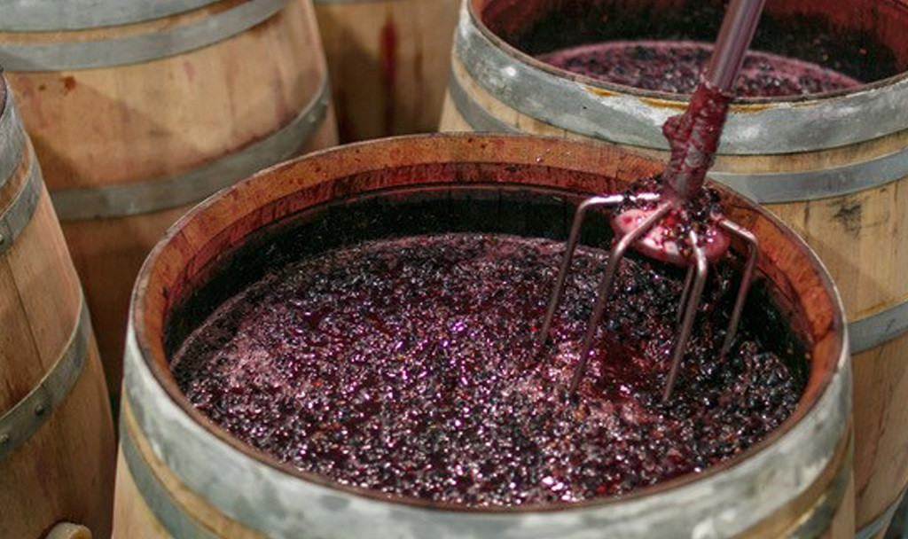 5_Ferratus Bodega fermentando_0.jpg Vinos modernos elaborados respetando la tradición para conseguir la más alta calidad.