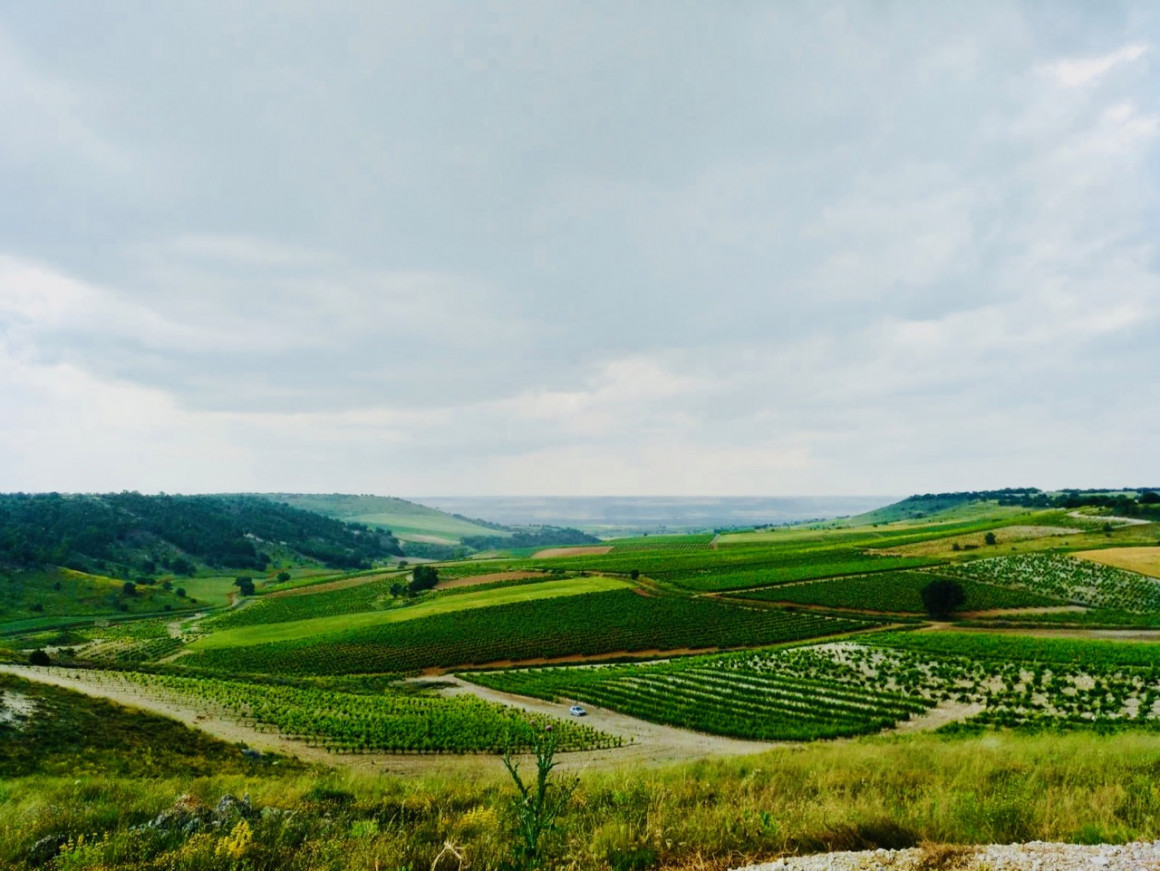 IMG-20180630-WA0018.jpg BODEGAS BOHÓRQUEZ