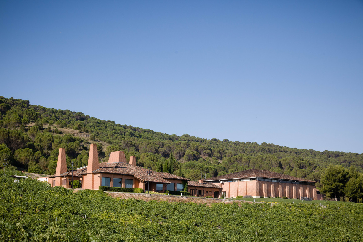 Bodegas Viña Mayor, Bodega Pionera D.O. Ribera del Duero