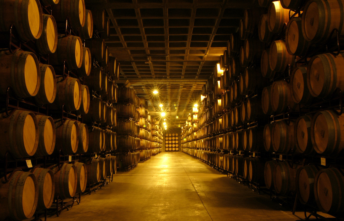 Sala Barricas Bodegas Viña Mayor, D.O. Ribera del Duero