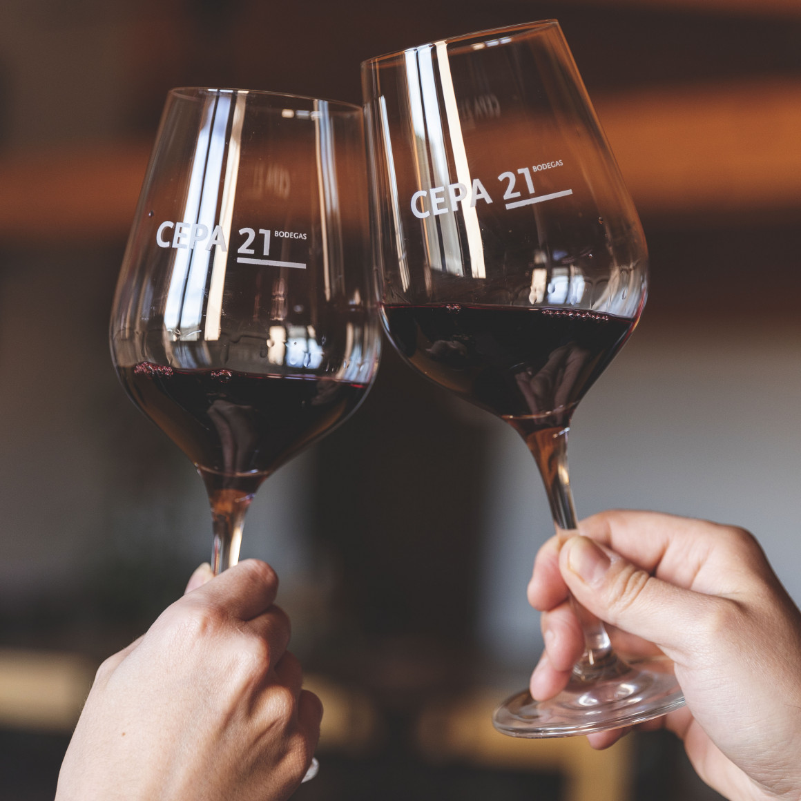 CEPA 21.jpg UN BRINDIS EN EL CORAZÓN DE LA RIBERA DEL DUERO