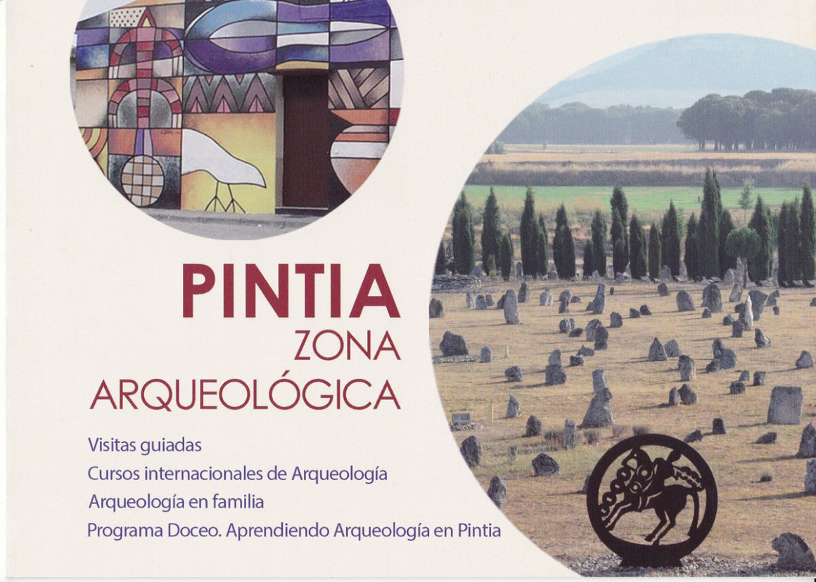 Ribera del Duero y el Proyecto Pintia Vaccea