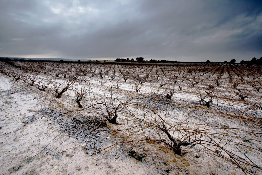 Clima en Ribera del Duero