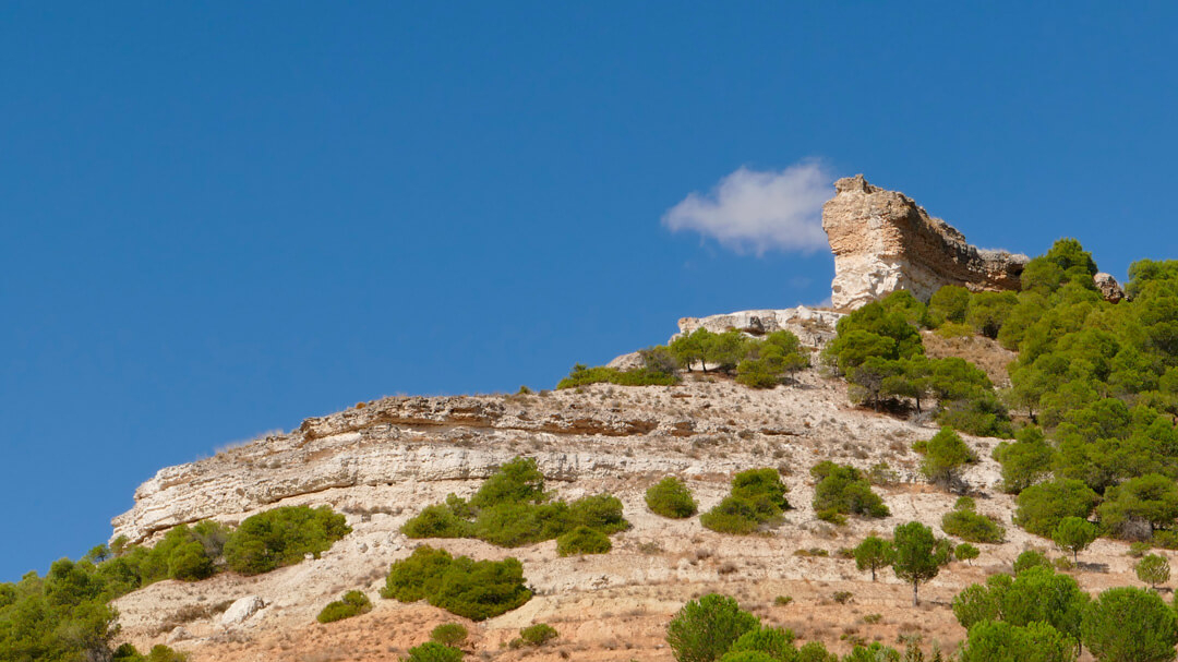 Suelos Ribera del Duero