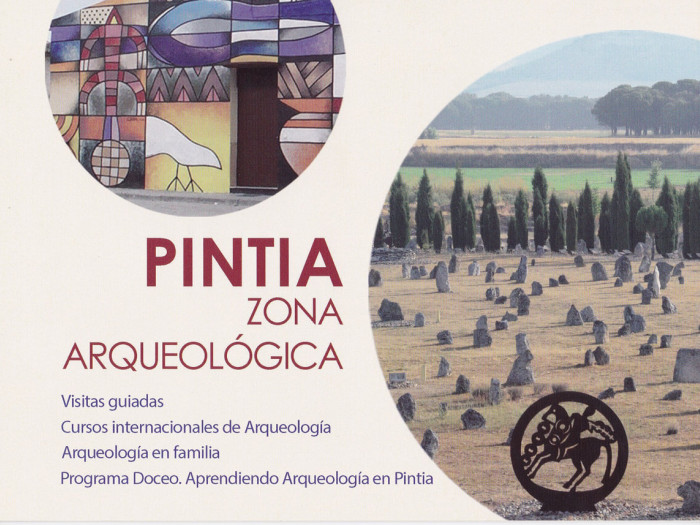 Ribera del Duero y el Proyecto Pintia Vaccea