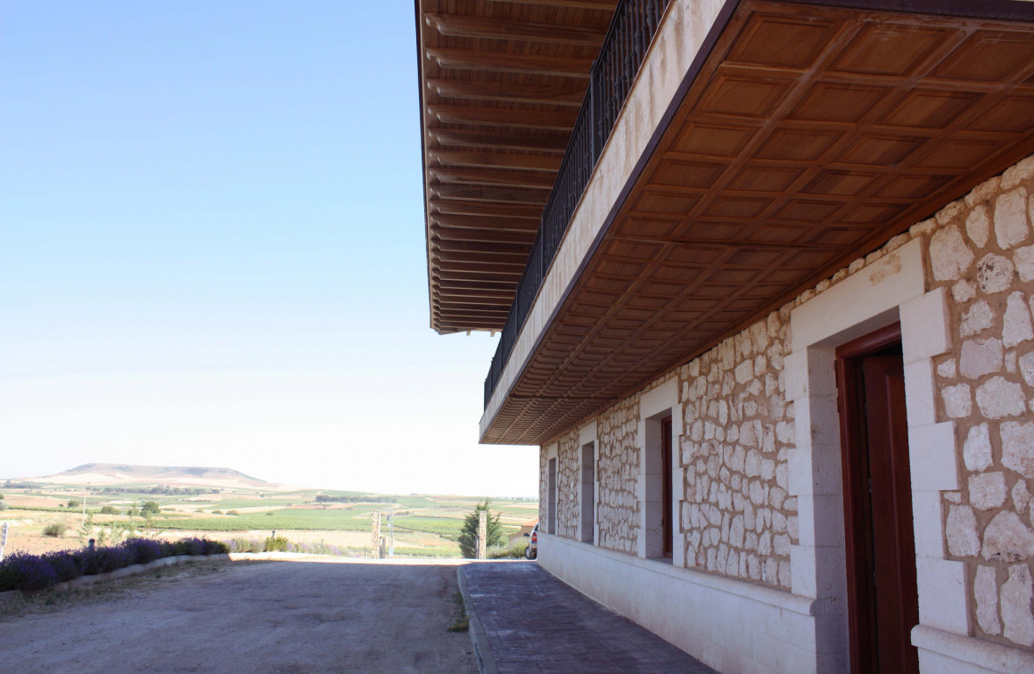 BODEGAS RAIZ Y QUESOS PARAMO DE GUZMAN