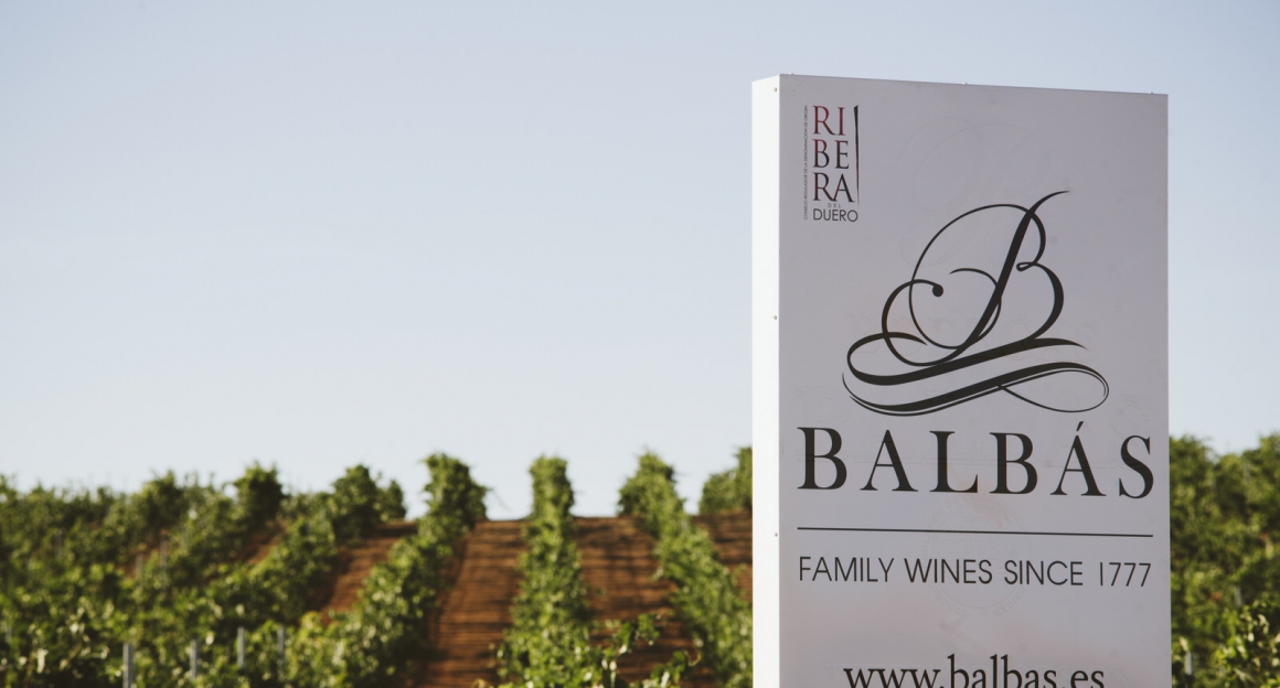 balbas_2017-101.jpg BODEGAS BALBÁS