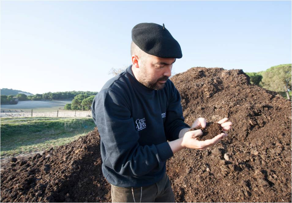 cda2.jpg BODEGAS CRUZ DE ALBA