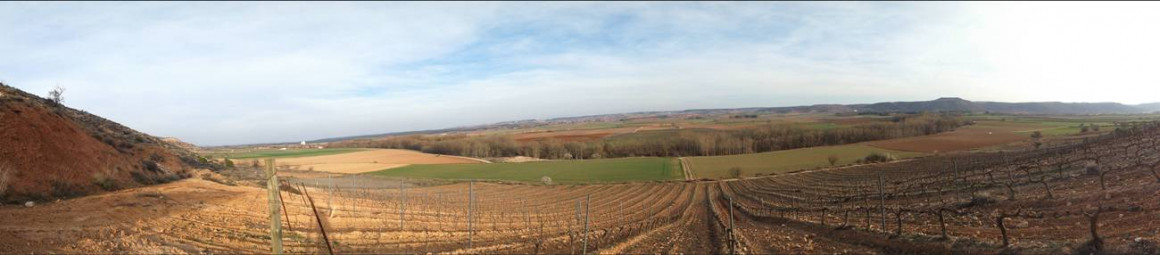 copia_de_milenico-do_ribera_del_duero-rodero-dsc_0171.jpg BODEGA MILENICO
