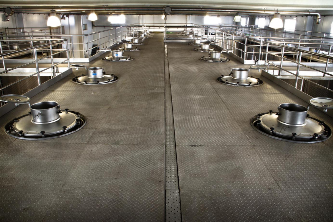 depositos_10.jpg BODEGA SAN ROQUE