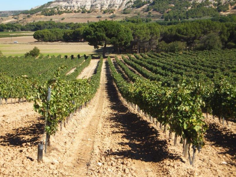 dscf7822_-_copia.jpg ALBERTO Y BENITO