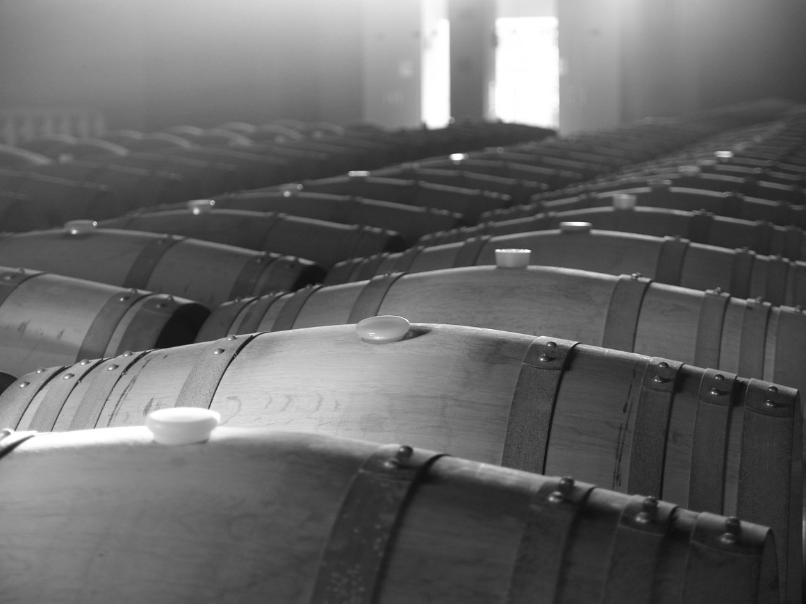 p9288926.jpg Sala de barricas Bodega Pinna fidelis
