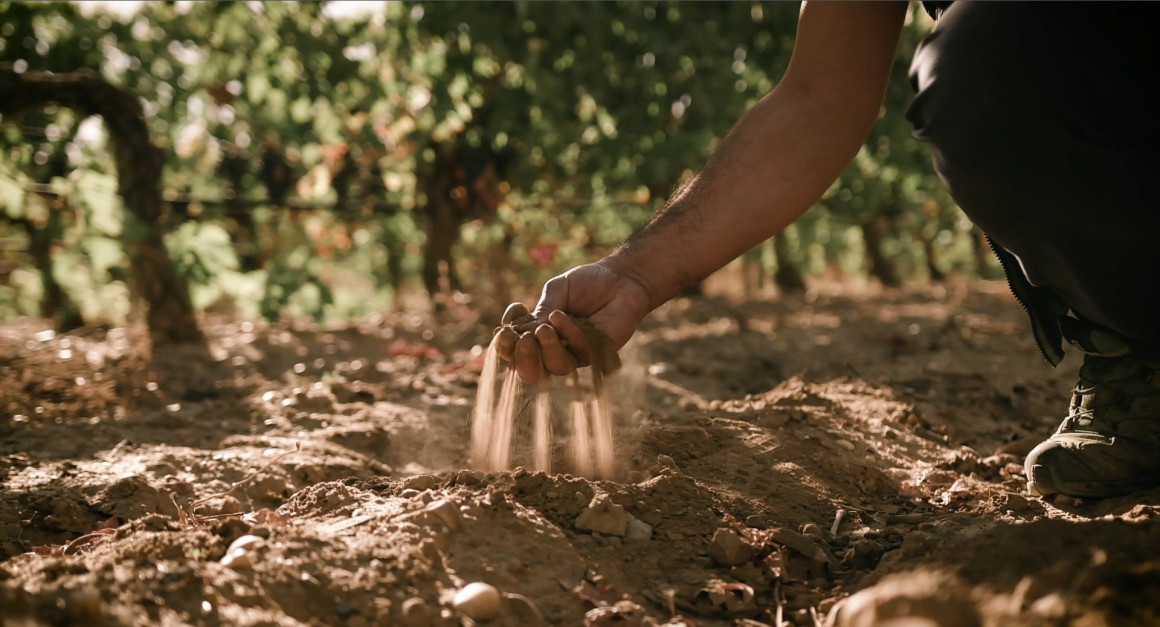 Captura de pantalla 2019-10-25 a las 14.17.45.jpg