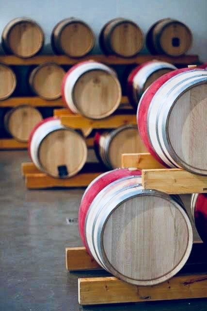 942522_421776834596231_1290914616_n.jpg BODEGAS BOHÓRQUEZ