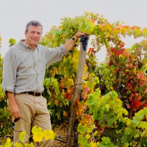 Javier-vendimia-4-820x490.jpg BODEGAS BOHÓRQUEZ